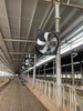 YNF-III Series Circulation fan